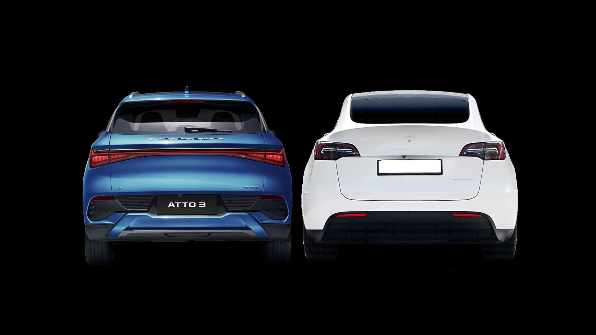 Tesla Model Y vs BYD Atto 3 side-by-side back