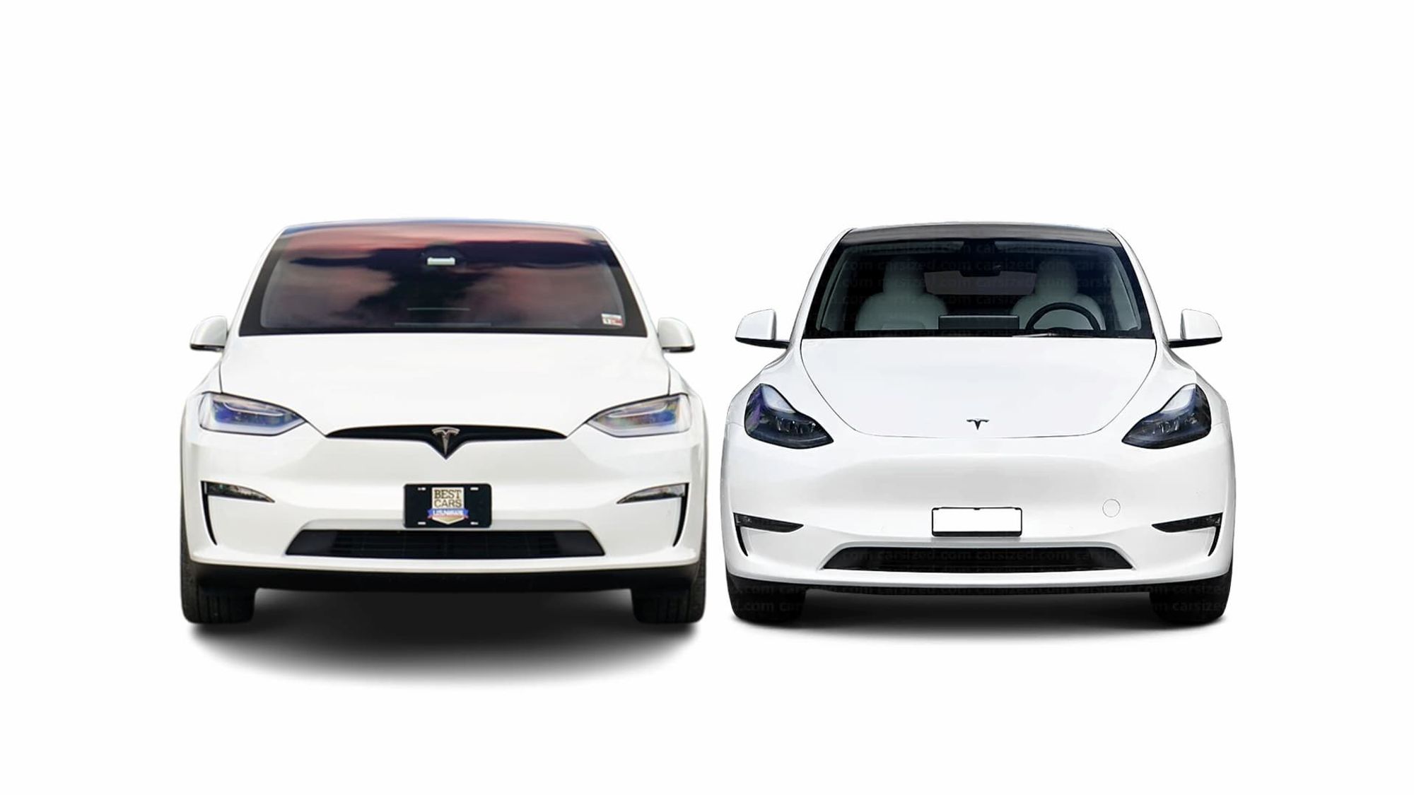 Tesla Model X vs Tesla Model Y Specs and Features Comparison, Zecar, Reviews