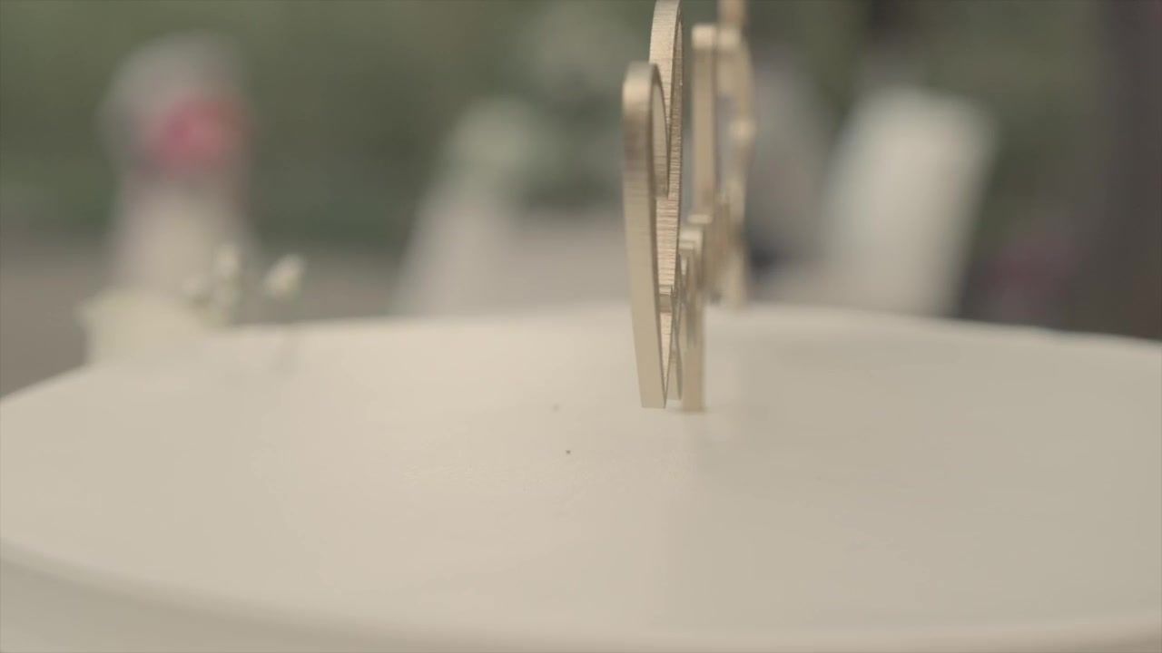 Wedding MJ — Events video by SLFILM