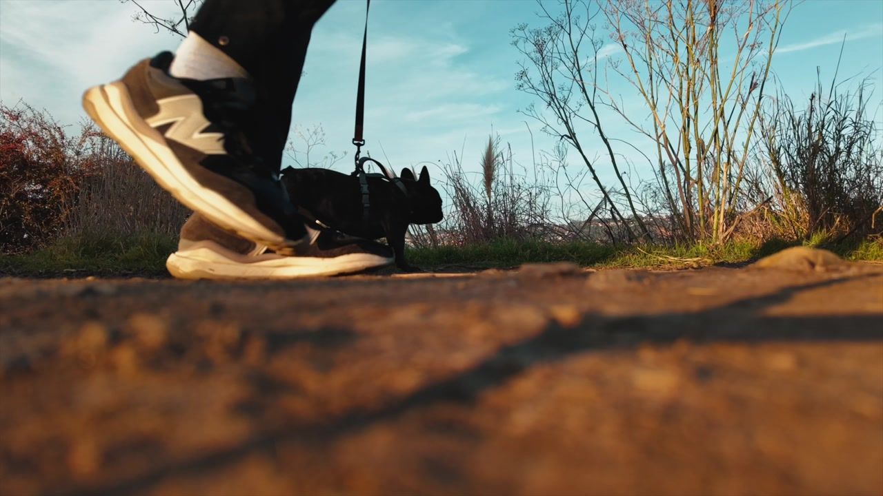 Gilman Sunset — Lifestyle video by SLFILM