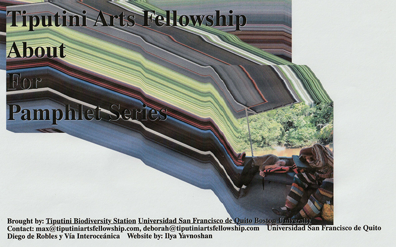 Tiputini Arts Fellowship Screenshot