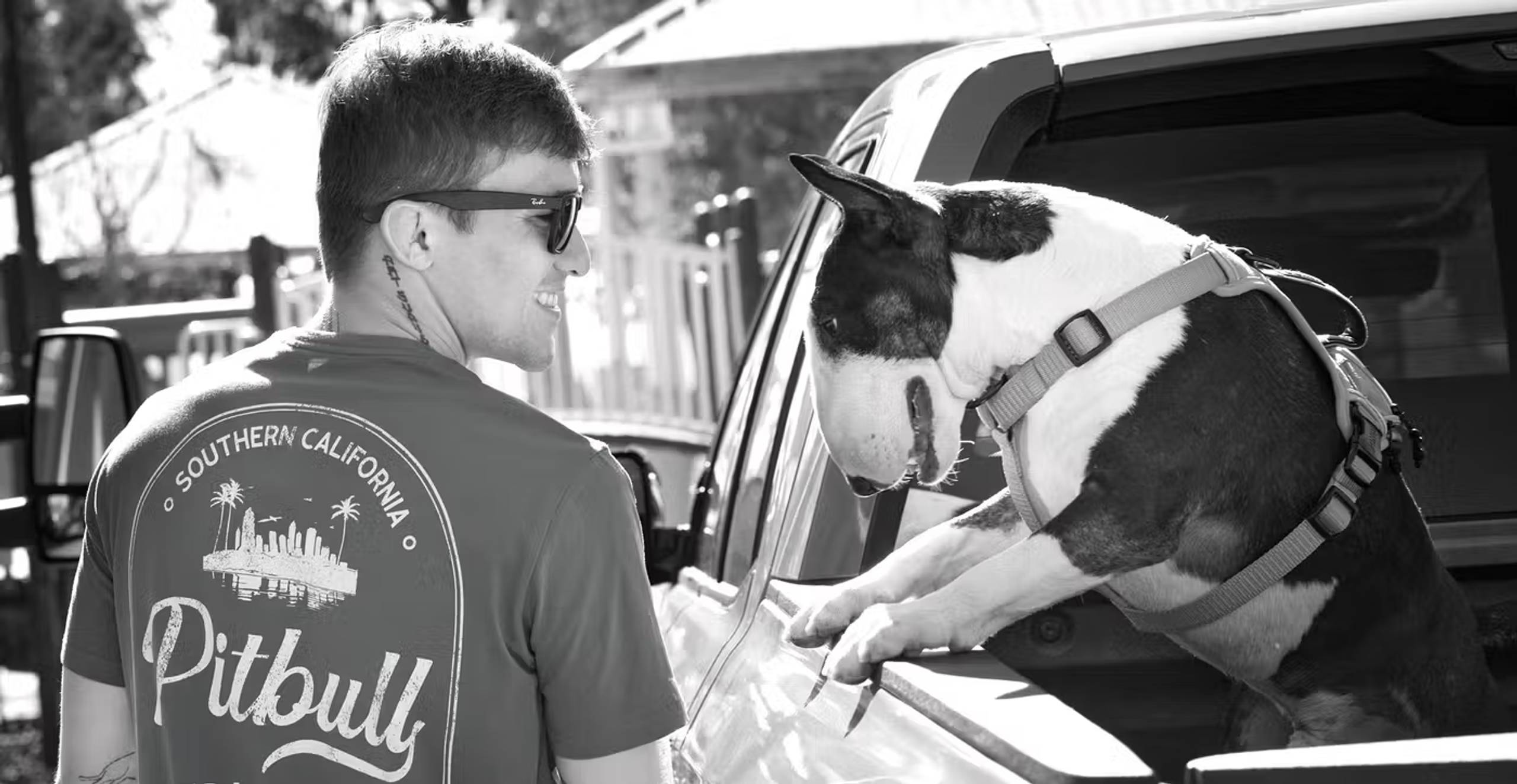 Man smiling at a bull terrier leaning from a truck bed