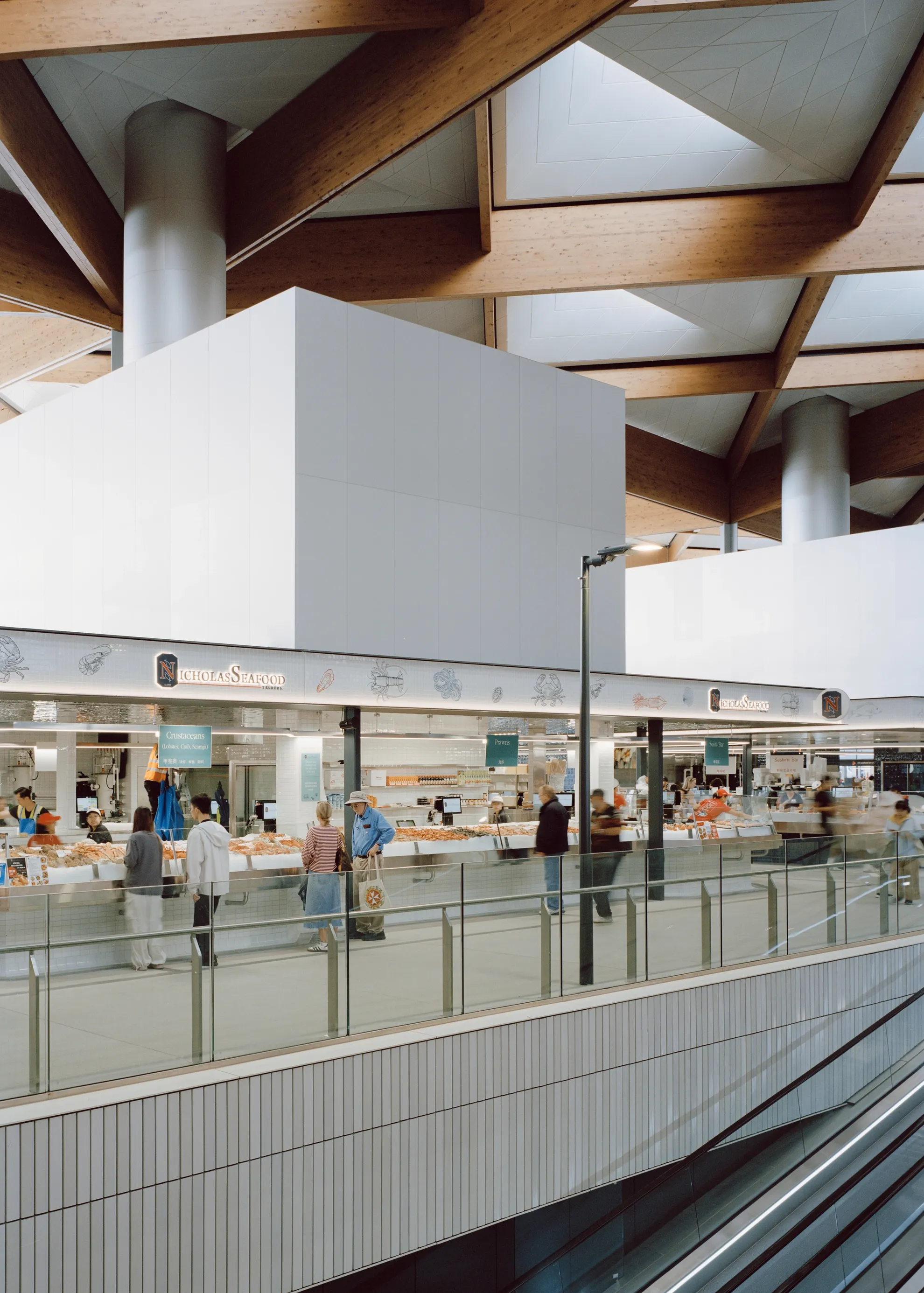 BVN Architecture Sydney civic architecture — New Sydney Fish Market timber roof structure, community public market hall