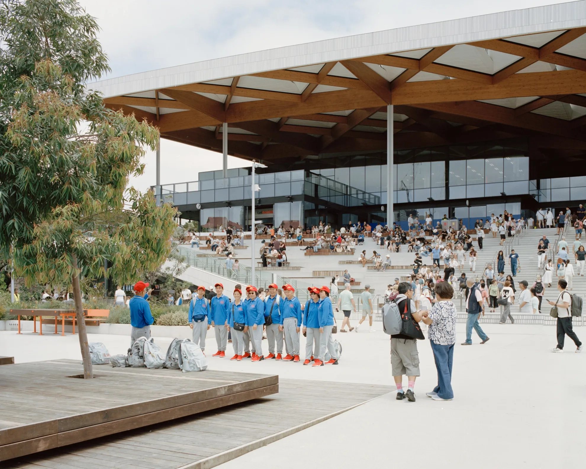 BVN Architecture Sydney civic architecture — New Sydney Fish Market public realm, community gathering timber canopy