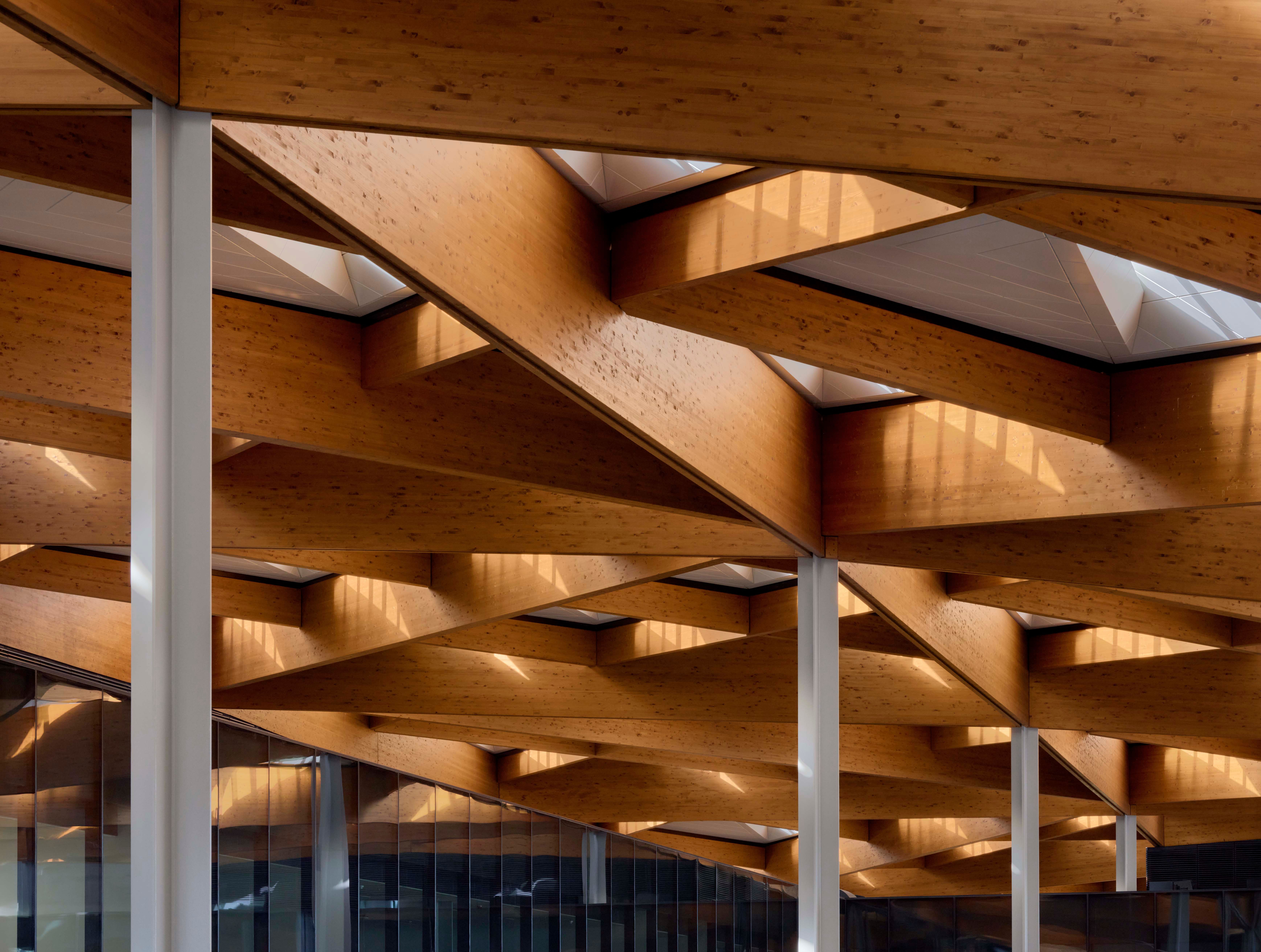 BVN Architecture Sydney civic architecture — mass timber ceiling structure New Sydney Fish Market sustainable public building