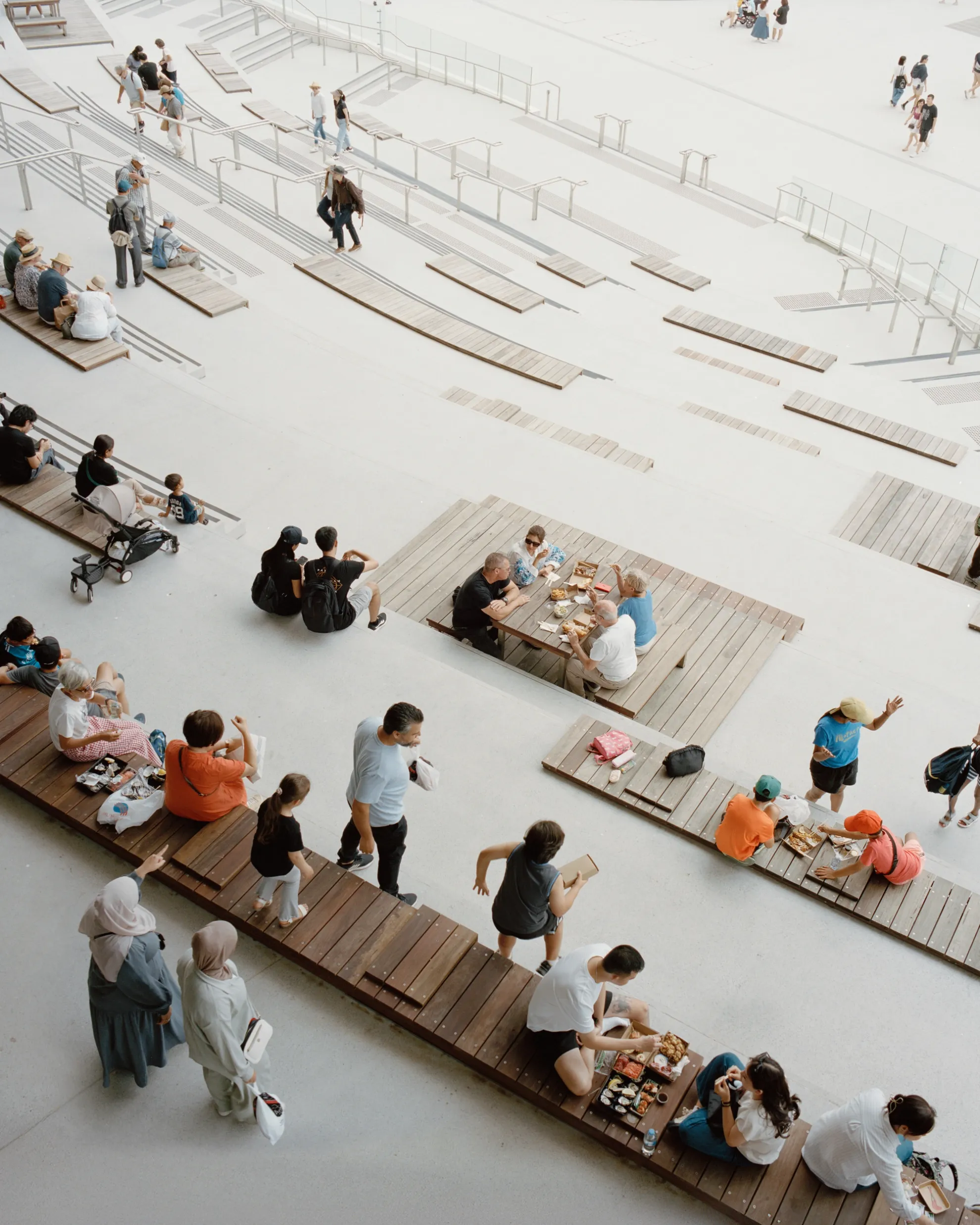 BVN Architecture Sydney civic architecture — New Sydney Fish Market public realm, community gathering timber seating