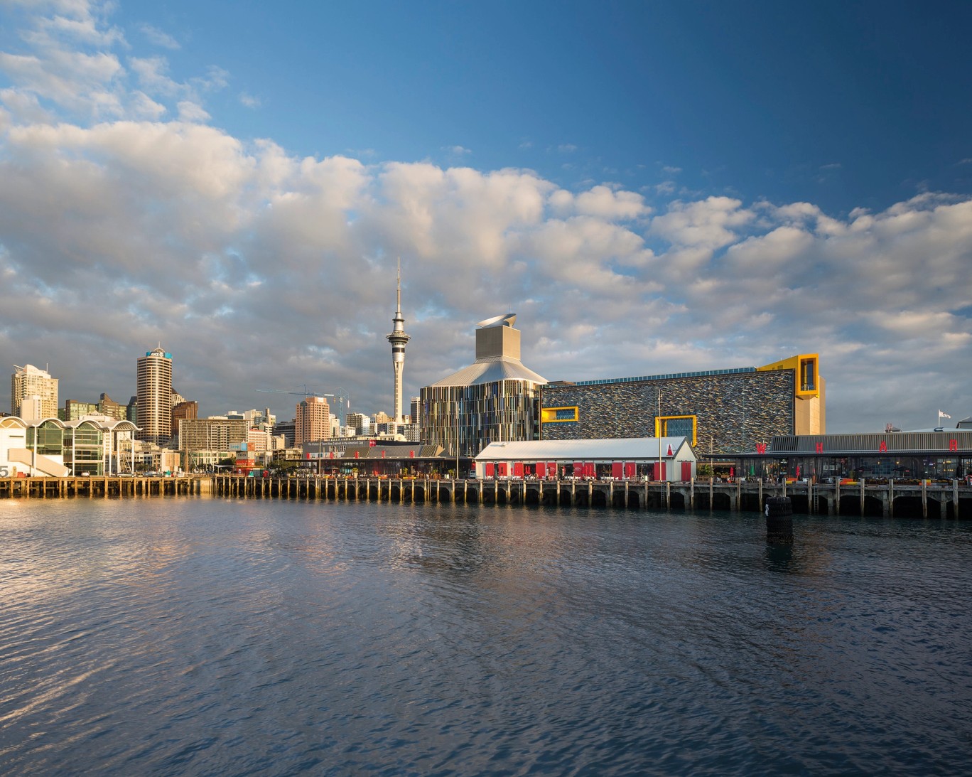 Leaves, light and sea breezes — a new kind of workplace on the Auckland waterfront.