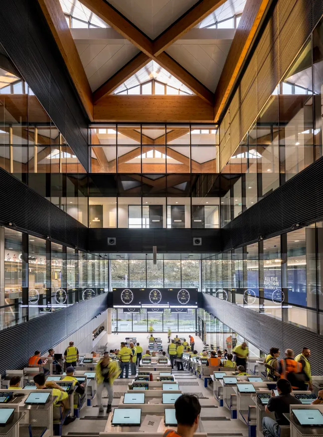 BVN Architecture Sydney civic architecture — New Sydney Fish Market auction hall with dramatic timber roof trusses and