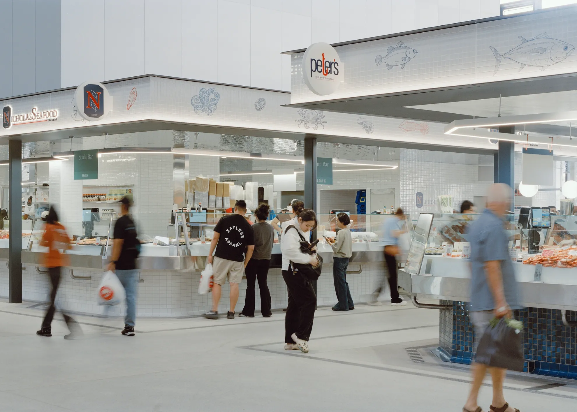 BVN Architecture Sydney civic architecture — New Sydney Fish Market public realm activation, community gathering space