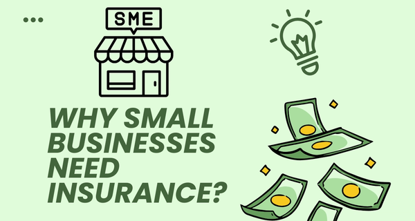 Why Small Businesses Need Insurance