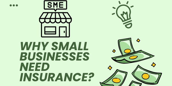 Why Small Businesses Need Insurance