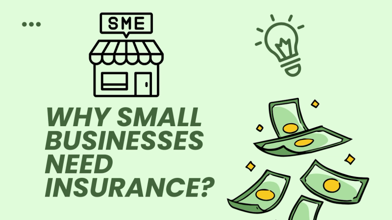 Why Small Businesses Need Insurance