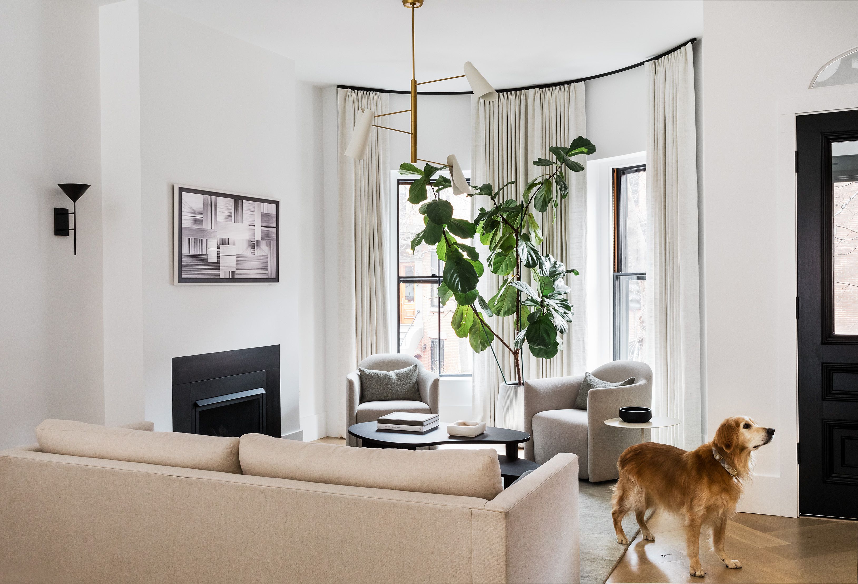 Living room with a cream sofa, a black fireplace, a fiddle-leaf fig tree, a brass chandelier, and a dog standing by a bay window.