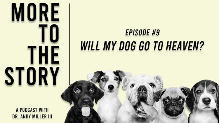 Spiritual Warfare Studied ? Will My Dog Be In Heaven?