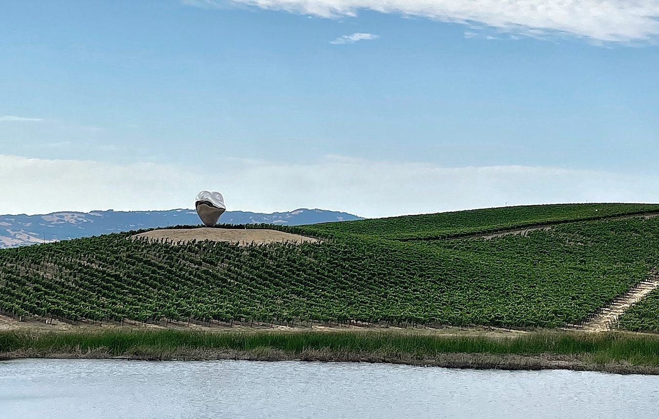 SDT_ApS_DonumEstateWinery (4).jpg