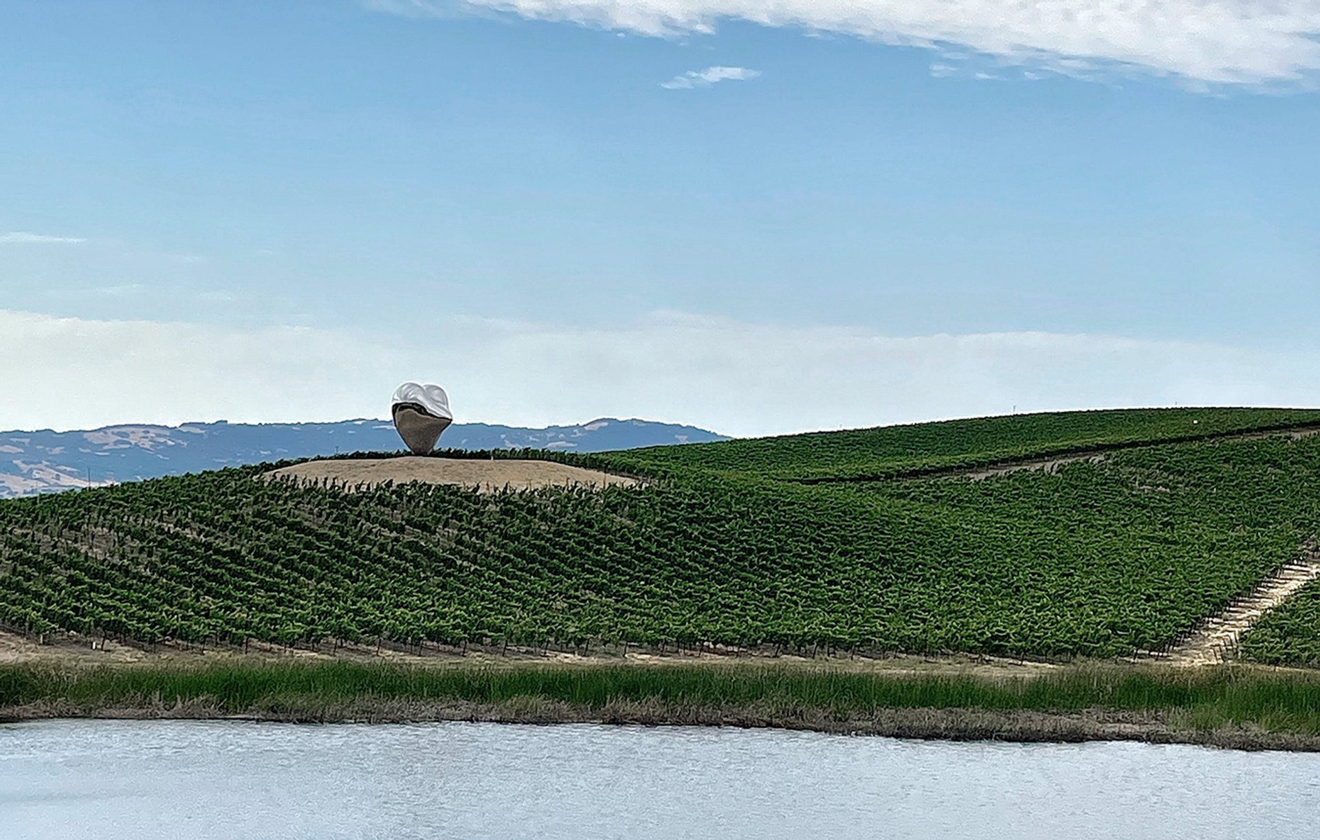 SDT_ApS_DonumEstateWinery (4).jpg
