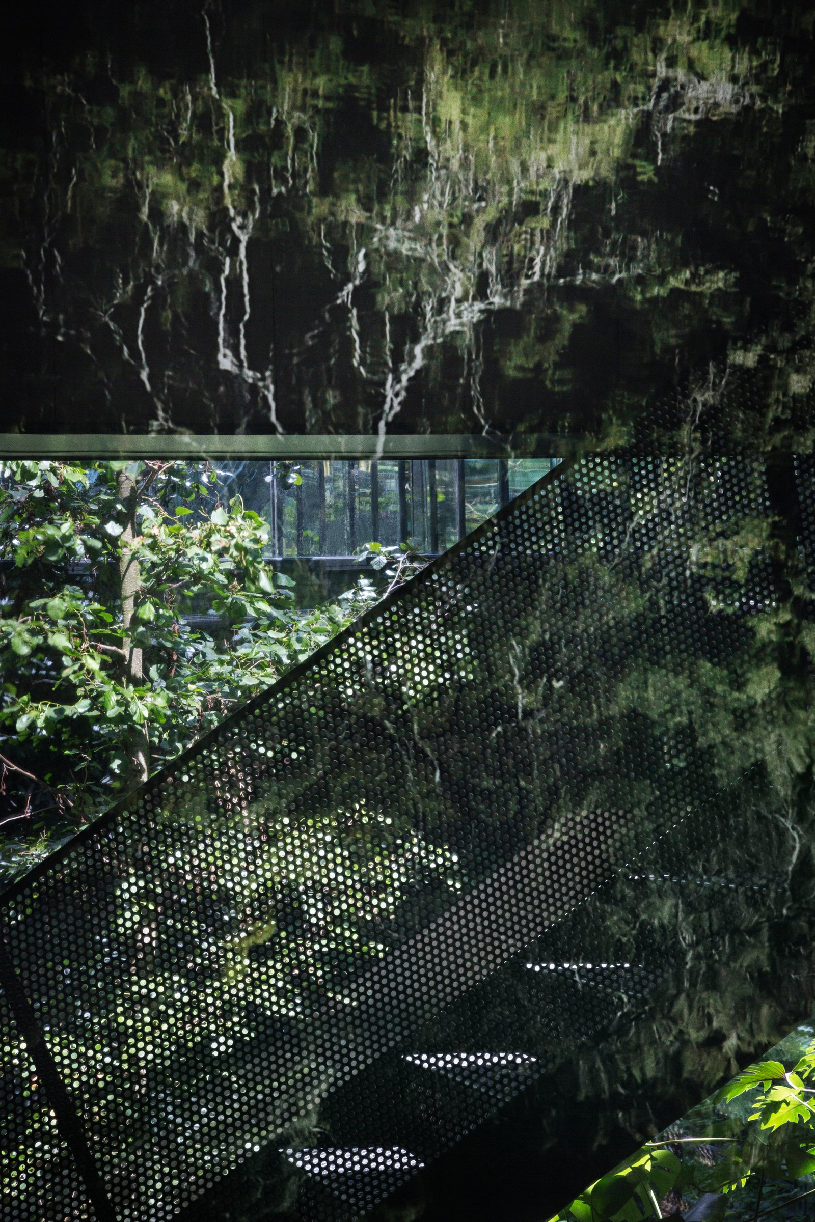 Peters House_Peter Krasilnikoff_42_lo.jpg