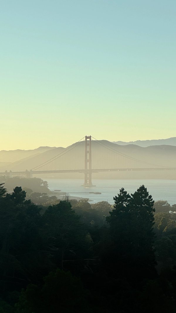 SDT_SanFranciscoHouse (34).jpg