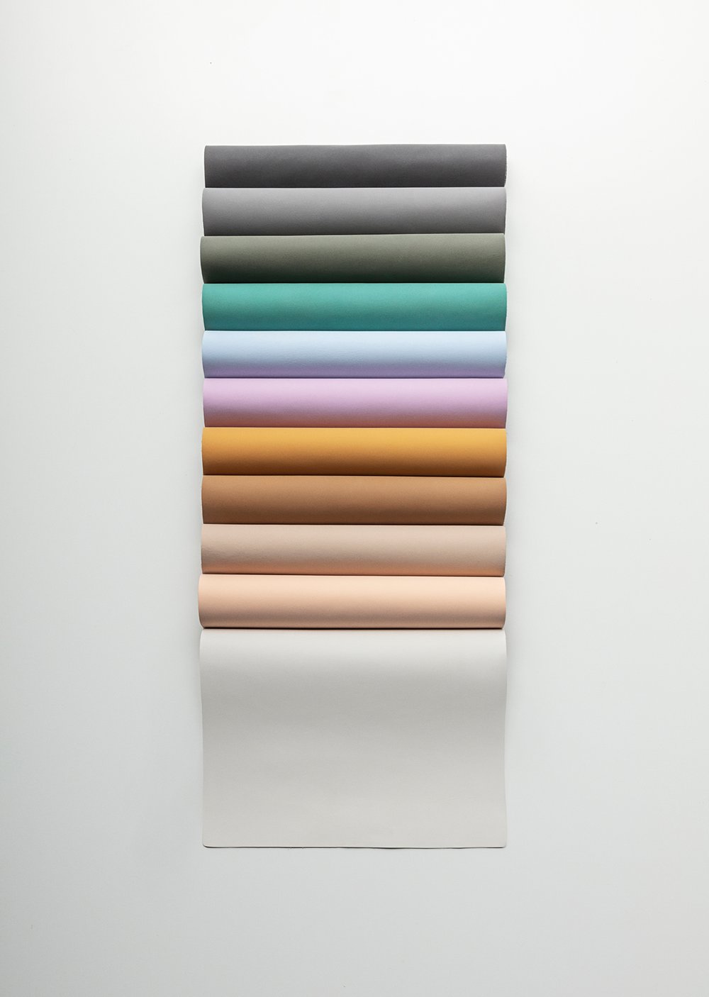 SDTxSL_17 2.jpg