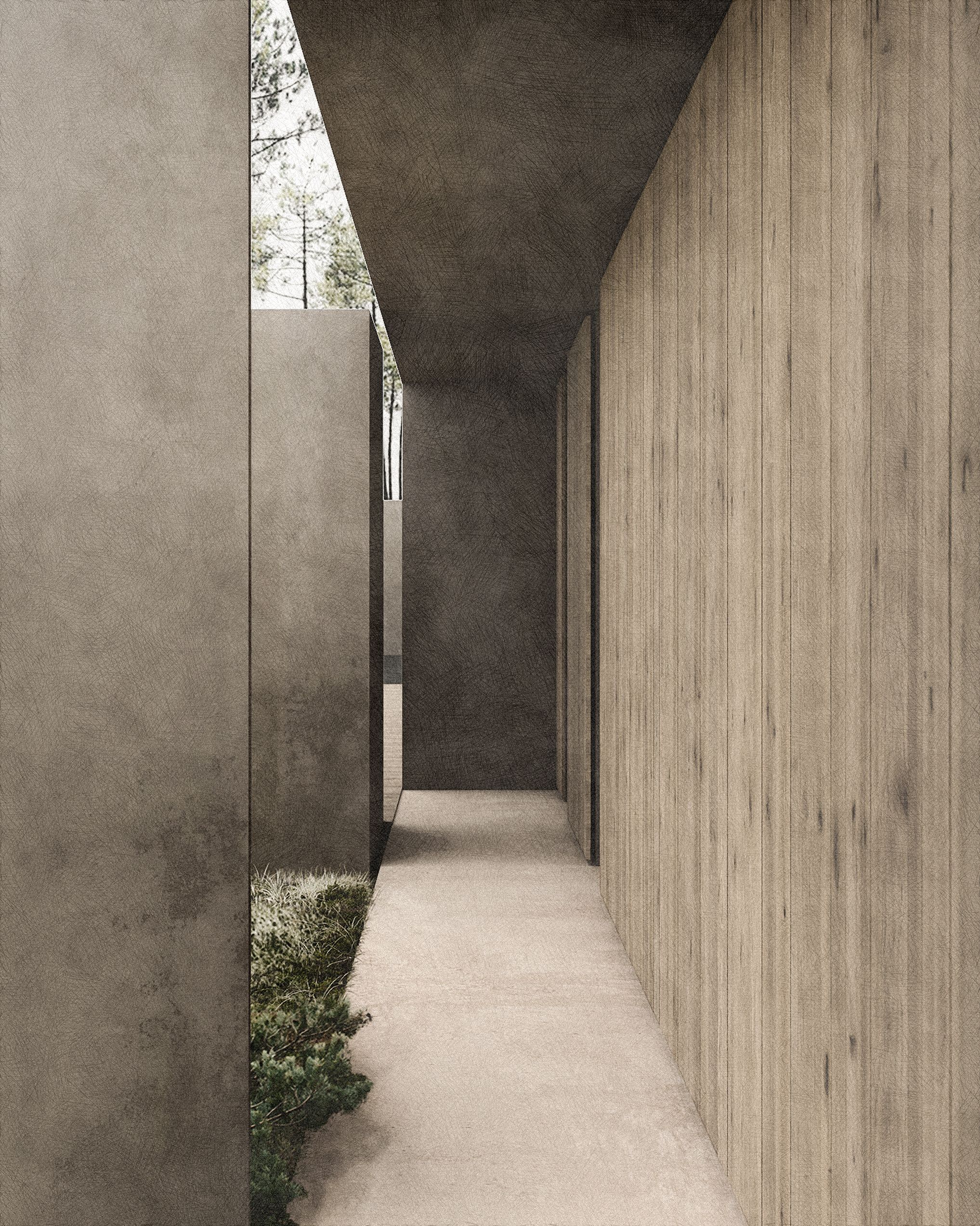 The Forest House