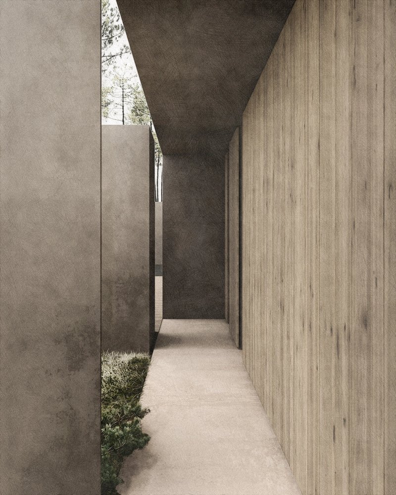 The Forest House