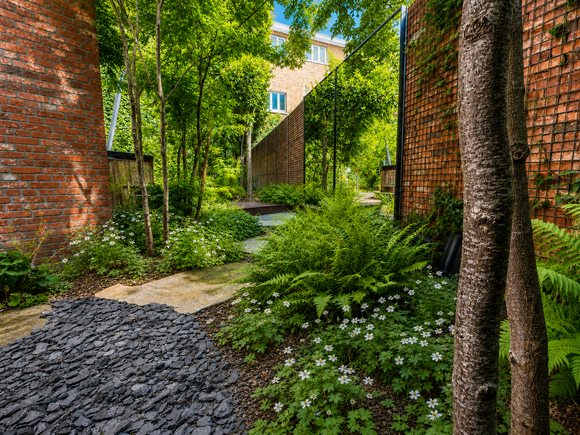 Strakke villatuin met natuurlijke beplanting in Lommel