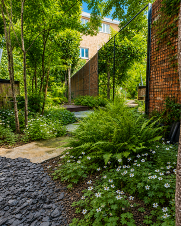 Strakke villatuin met natuurlijke beplanting in Lommel