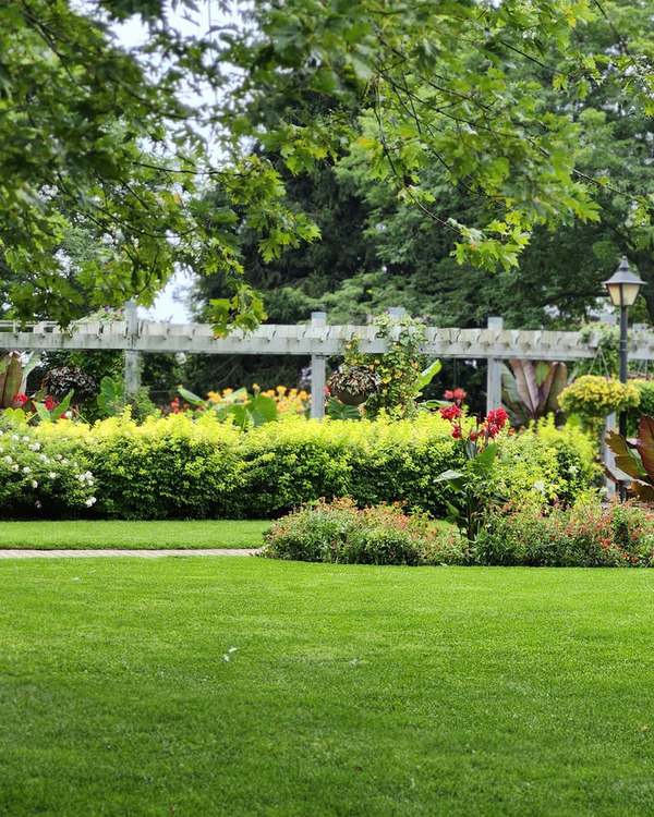 Landelijke tuin met vlonder en beplanting