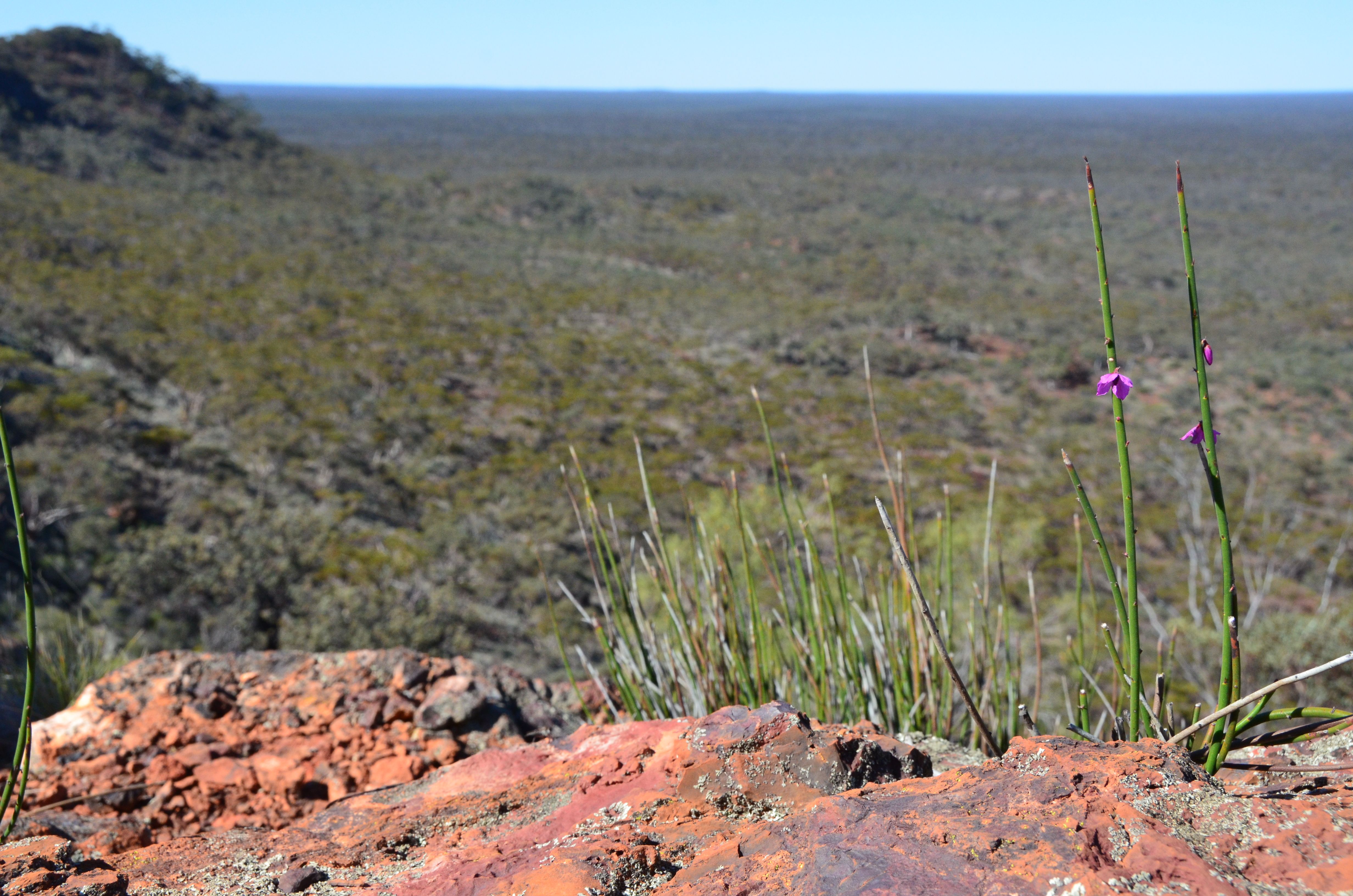 Mineral Resources Image