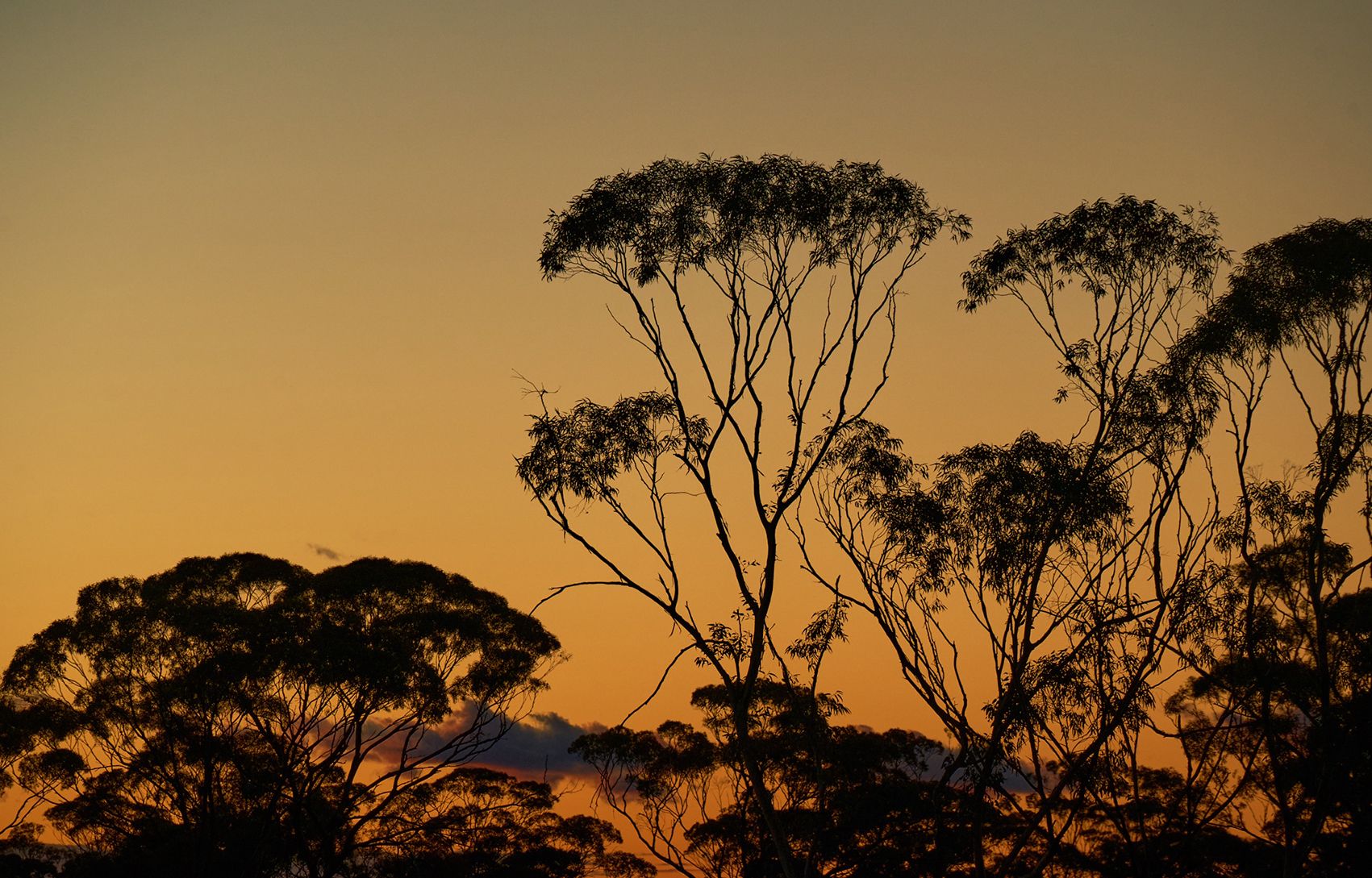 Mineral Resources Image