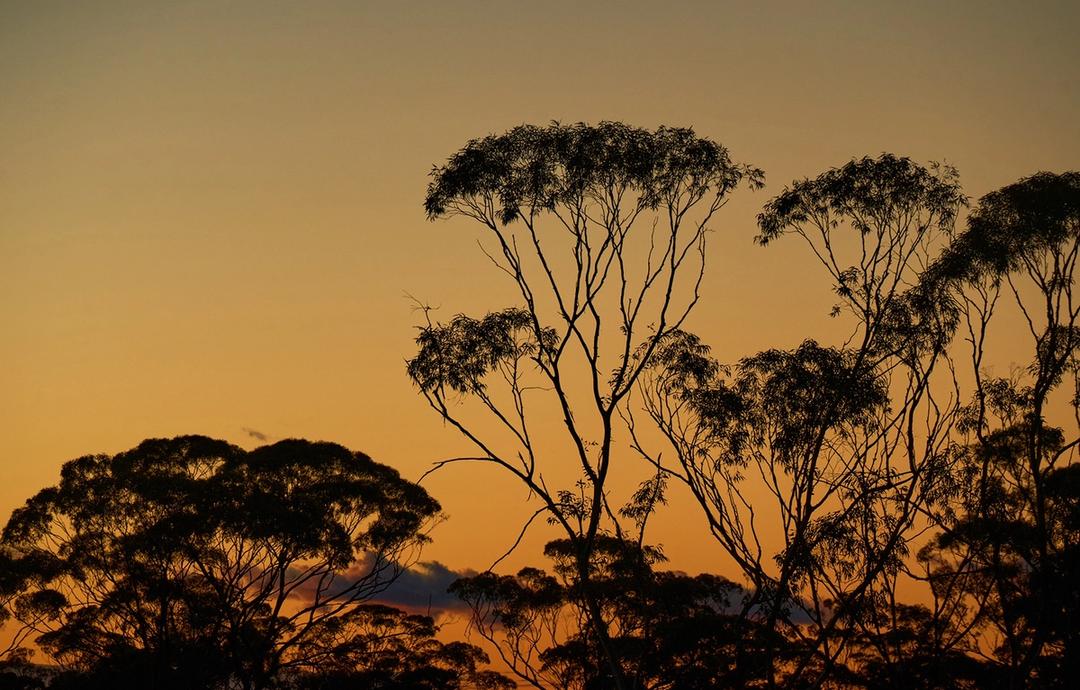 Mineral Resources Image