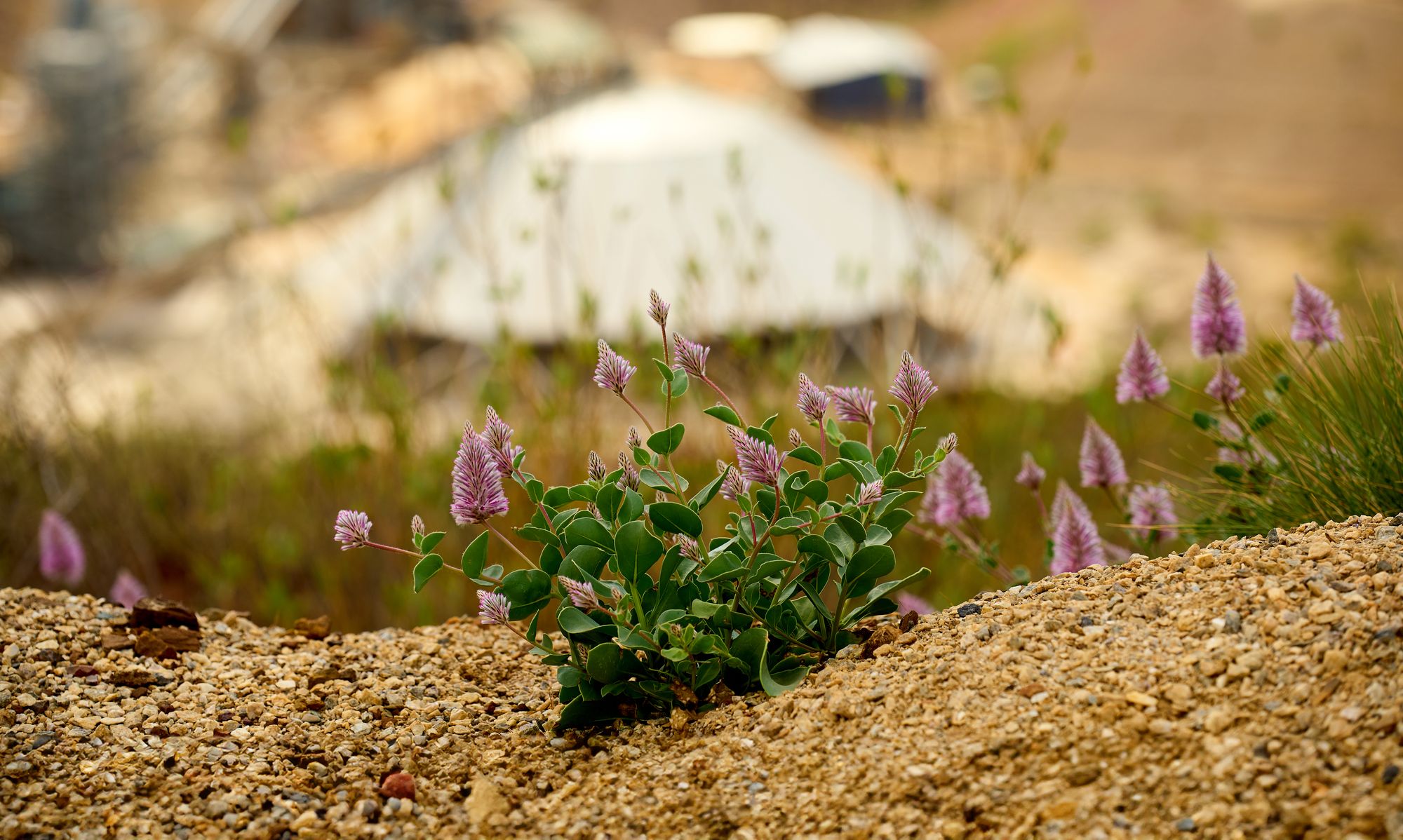 Mineral Resources Image