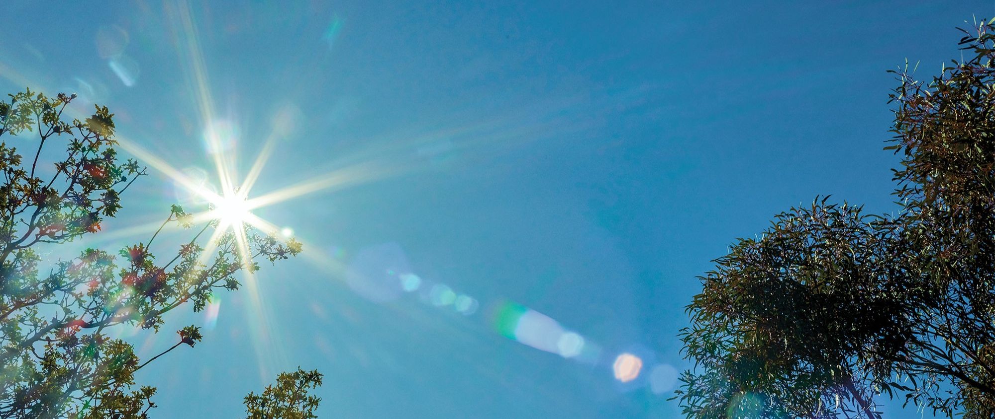 Mineral Resources Image