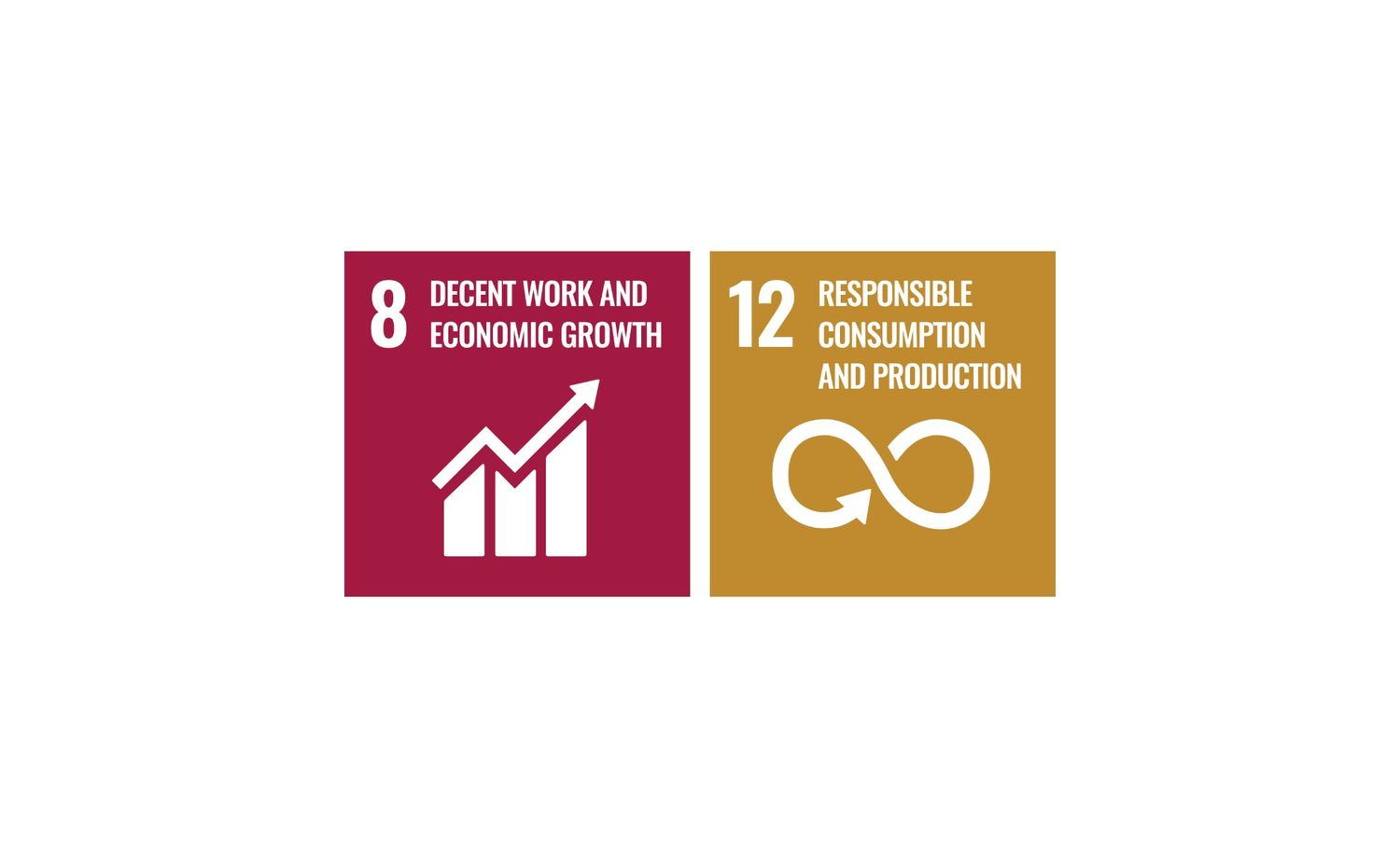 SDG goals