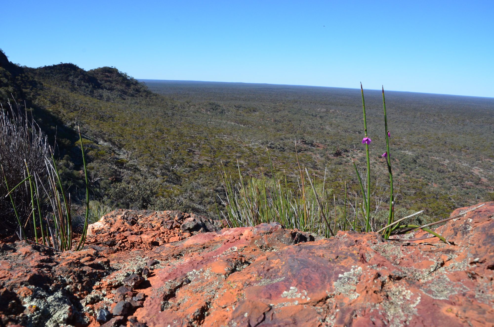 Mineral Resources Image
