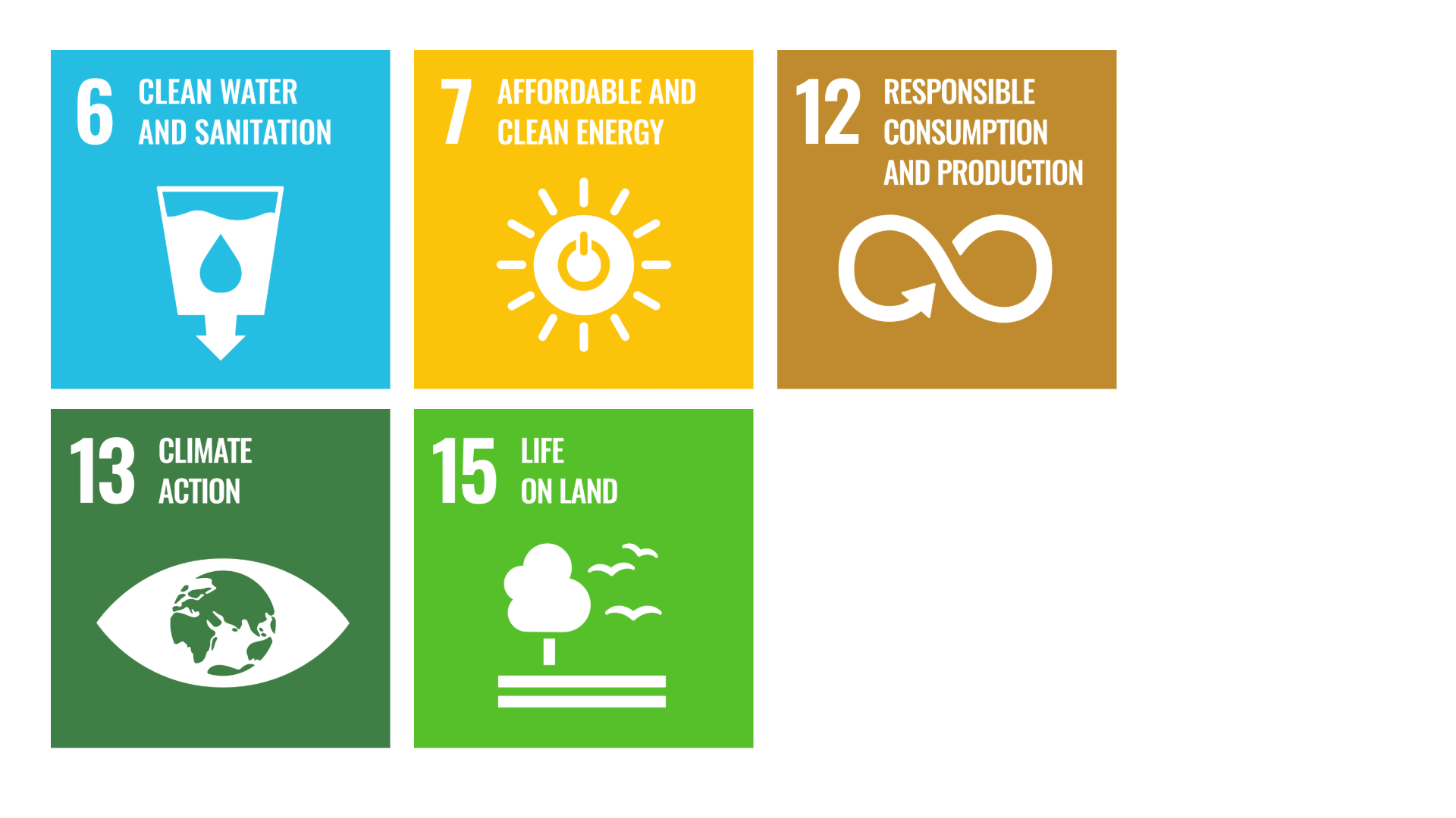 SDG Environment
