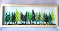 Shadowbox Rain Forest