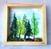Shadowbox Rain Forest