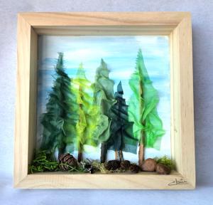 Shadowbox Rain Forest
