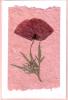 Grow a card