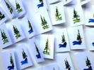 Watercolor Enclosure Cards