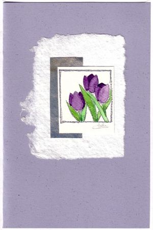 Tulips