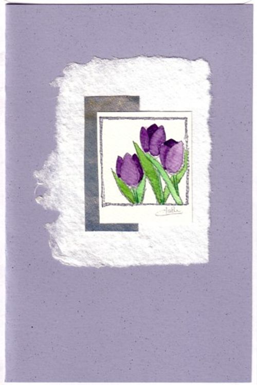 Tulips