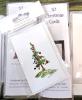 Watercolor Enclosure Cards