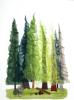 Rain Forest Textile Collage