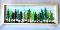 Shadowbox Rain Forest