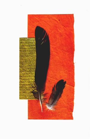Feather 