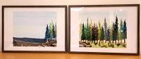 Textile Landscape Commission