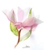 Magnolias Textile collage