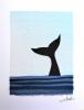 Orca 